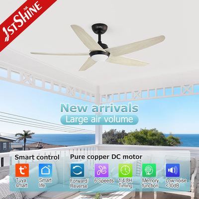 LED 5 Blade Ceiling Fan , Living Room Quiet High Speed DC Ceiling Fan