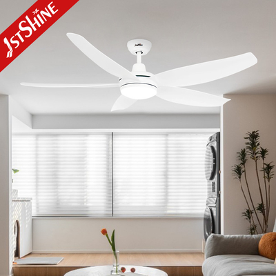 DCF-FS50119 1/ 4 / 8 Hours timming Plastic Blade Ceiling Fan With Remote Control