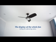 Noiseless Energy Saving DC Motor 3 Colors Change Led Light Ceiling Fan For Bedroom
