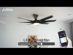 Siyah ABS tavan fan lambası ABS bıçağı ile 110V yüksek güç