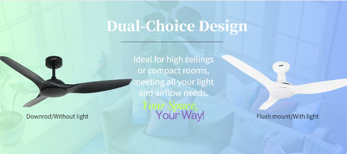 Son şirket haberleri 1stShine'den özelleştirilebilir seçenekler